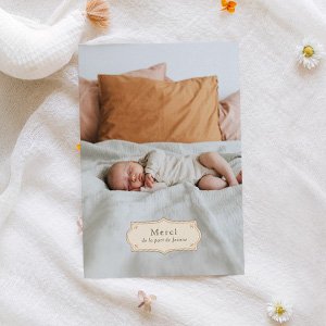 Remerciements naissance photo