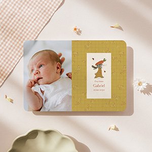 faire part naissance Moulin Roty