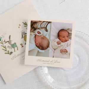 Remerciements naissance jumueax