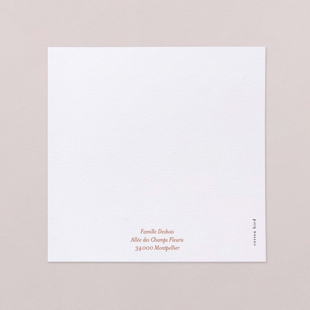 Photomaton-terracotta