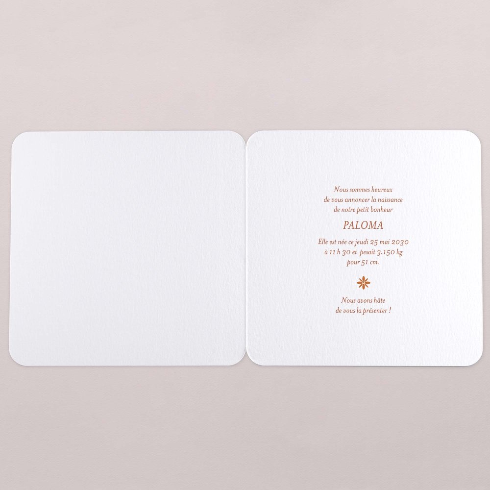 Photomaton-terracotta