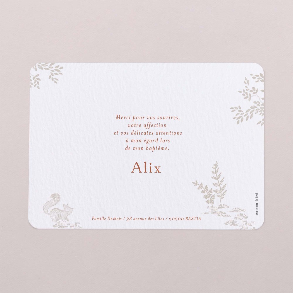 Forêt endormie - Rose