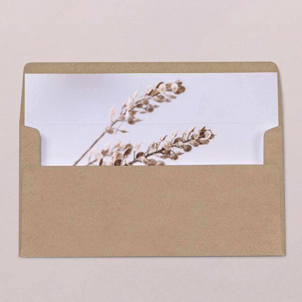 Intérieur d'enveloppe