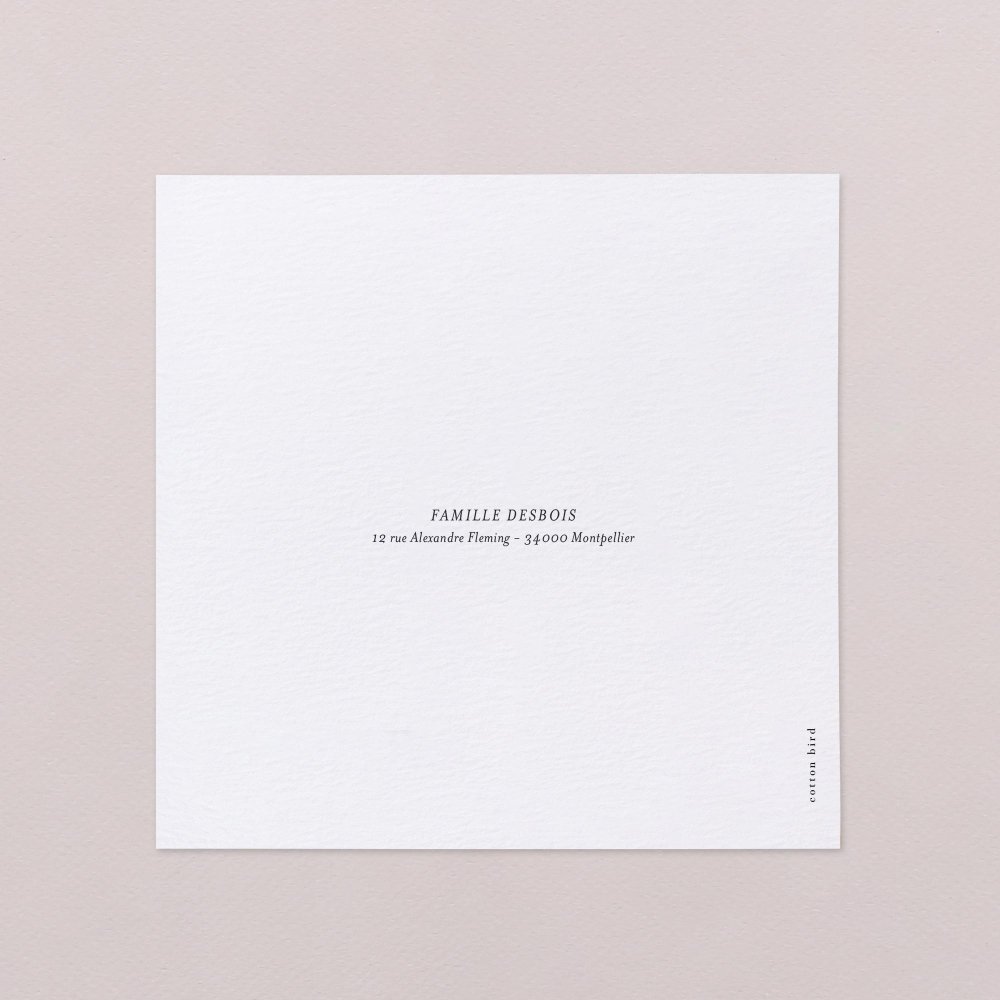 Precious message - Snow 