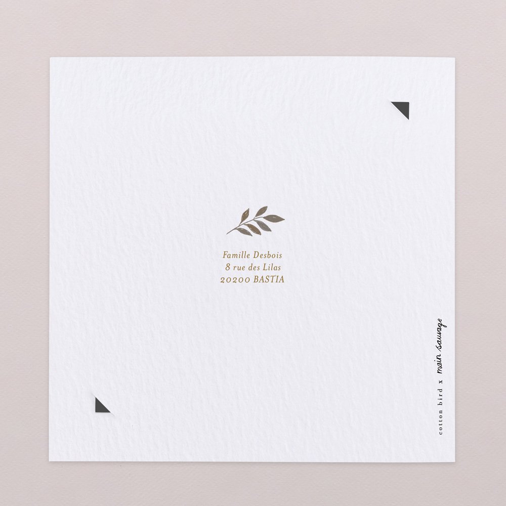 Doux rêveur - Bay Leaves