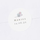 Marius