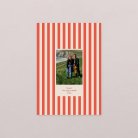 le Petit Quotidien - 2