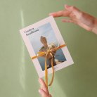 le Petit Quotidien - 11