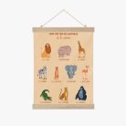 Cartes animaux de la savane