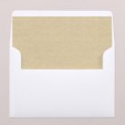 Intérieur d'enveloppe