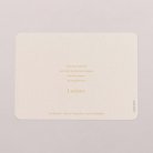 Joli vichy - moutarde