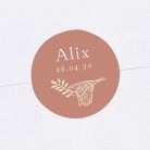 Forêt endormie - Rose