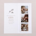 Doux rêveur - Bay Leaves