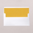 Intérieur d'enveloppe