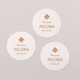 Photomaton-terracotta