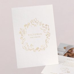 Petit écureuil doré