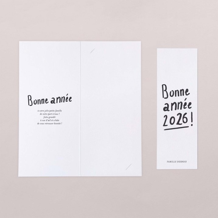 Precious year - Snow 