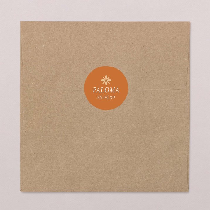 Photomaton-terracotta