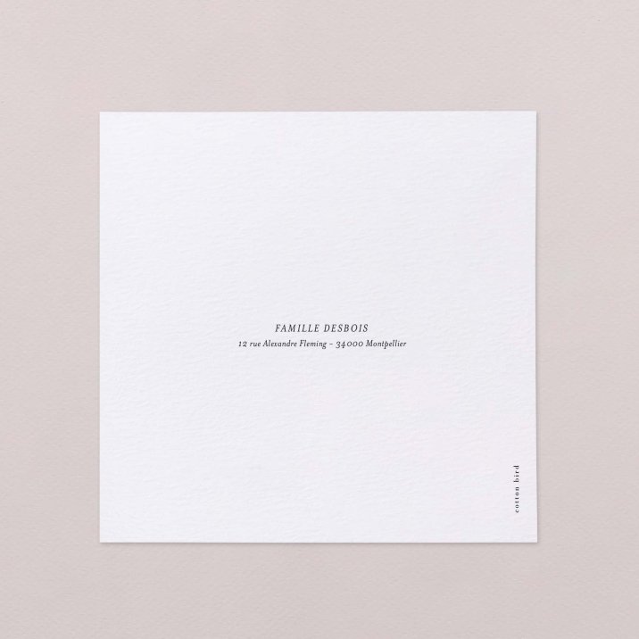 Precious year - Snow 