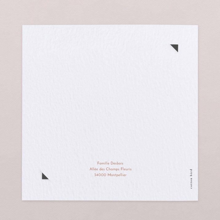 Colorama - Terracotta