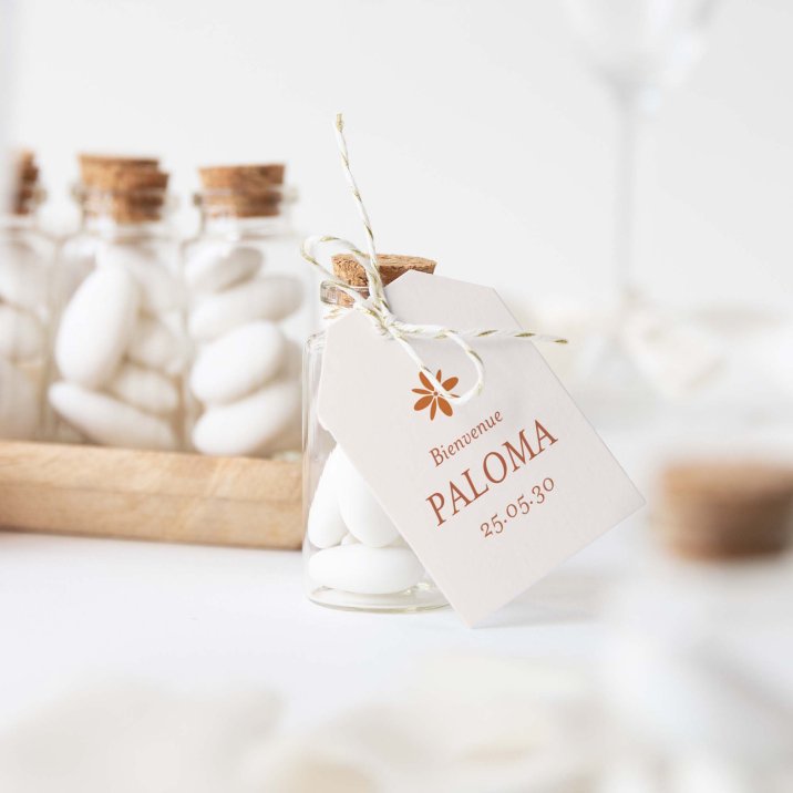 Photomaton-terracotta