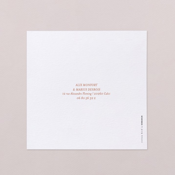 Lobelia Cardinalis I