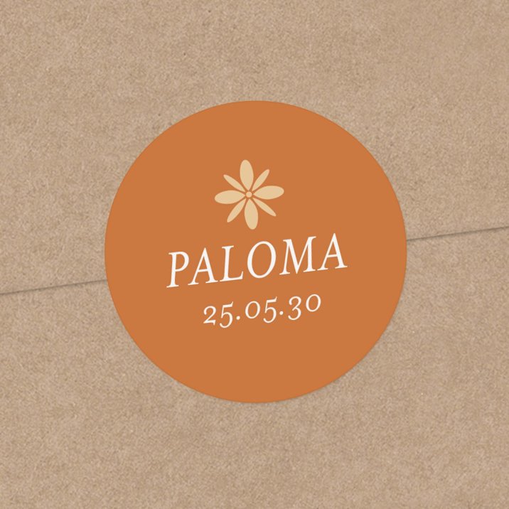 Photomaton-terracotta