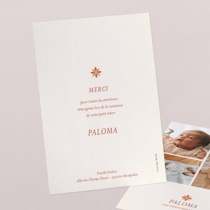 Photomaton-terracotta