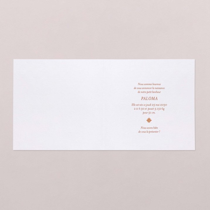 Photomaton-terracotta