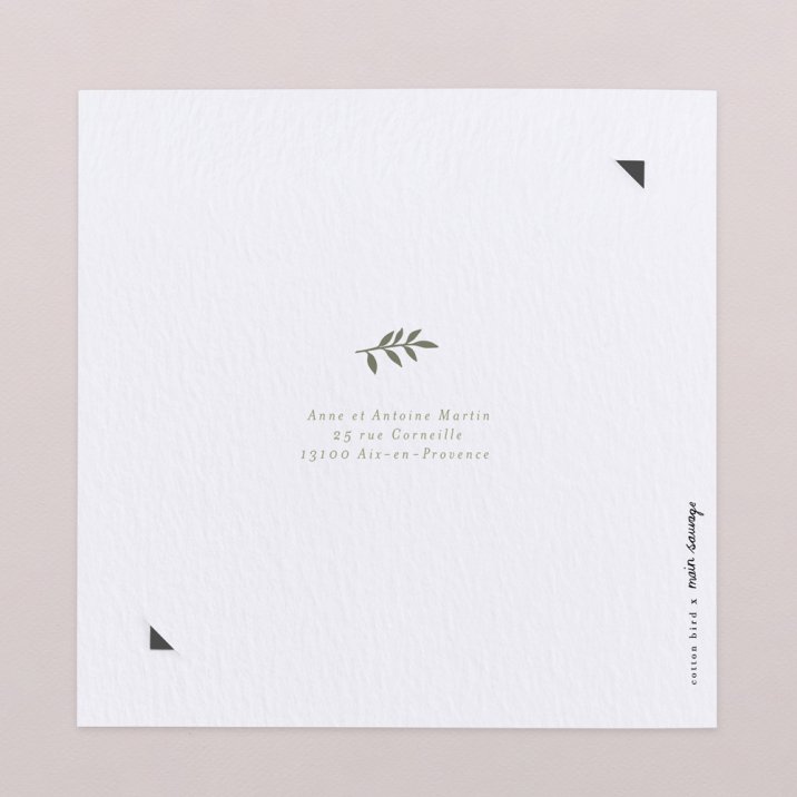 Bay Leaves - Icônes