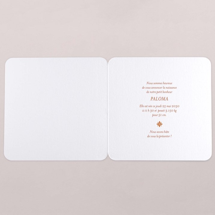 Photomaton-terracotta