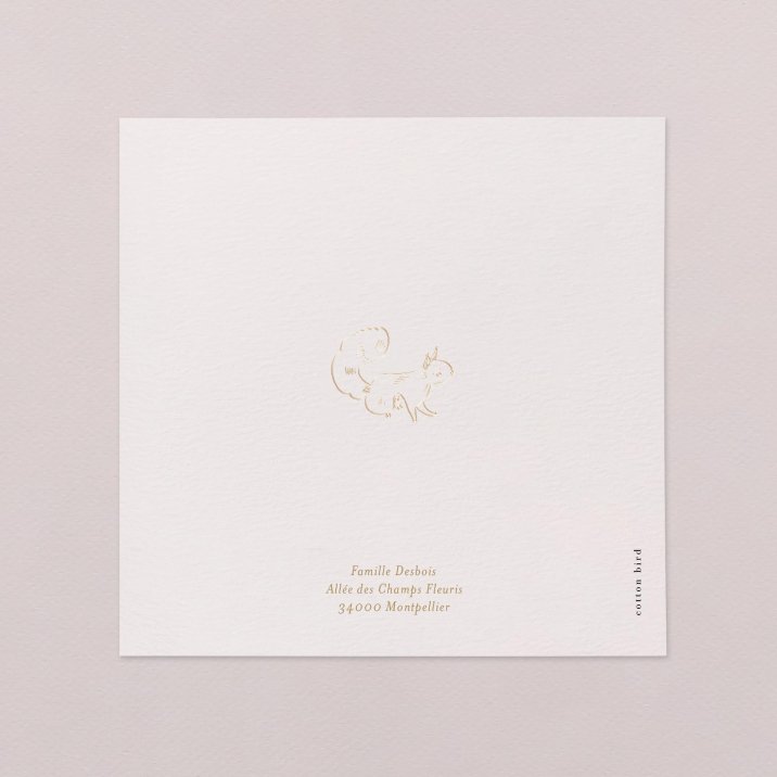 Petit écureuil doré