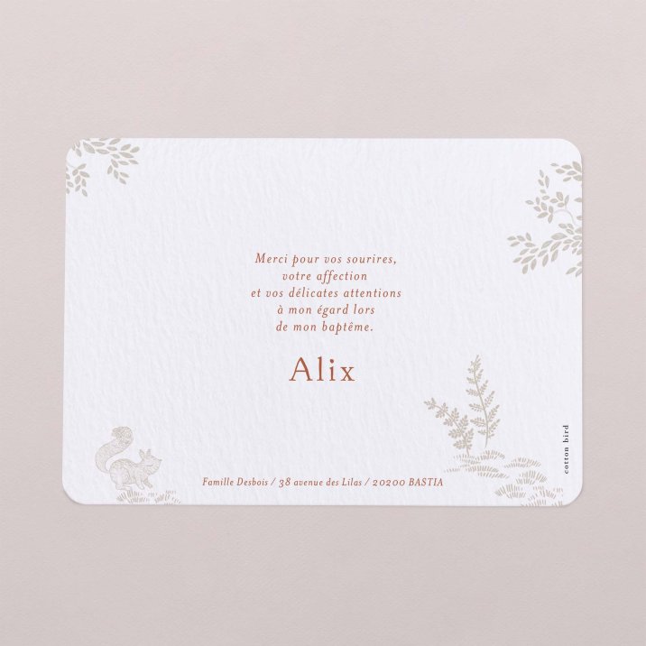 Forêt endormie - Rose