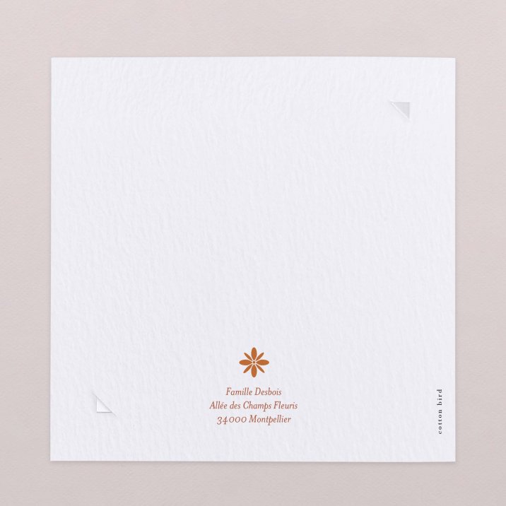 Photomaton-terracotta