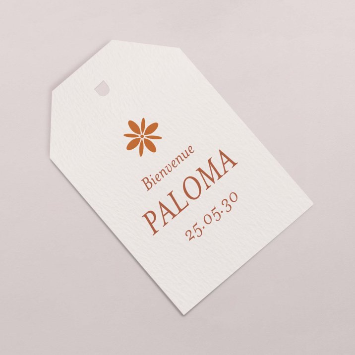 Photomaton-terracotta